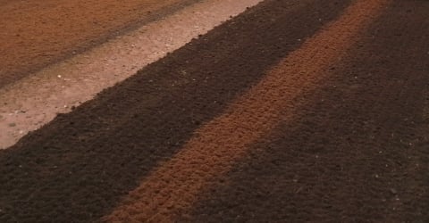Soil after land drainage