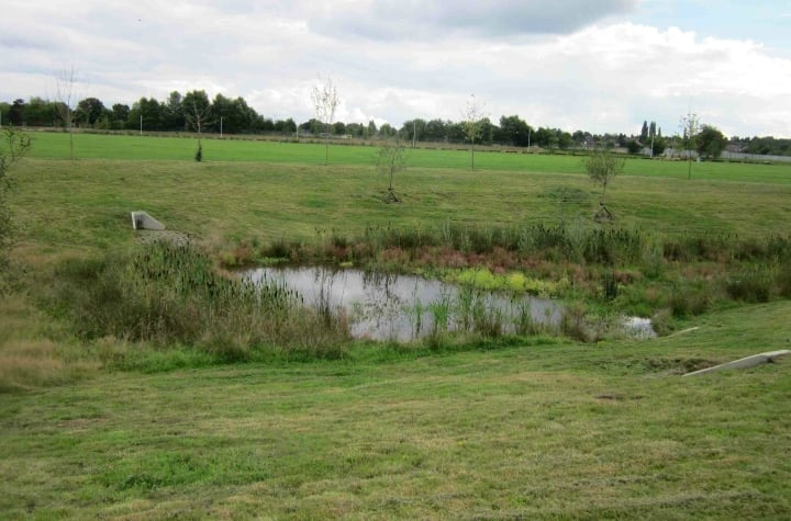 Field with water damage