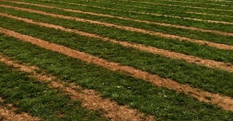 Land drainage and attenuation