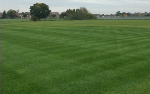 Natural Sports Pitch Construction