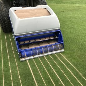 Imants Sandcat