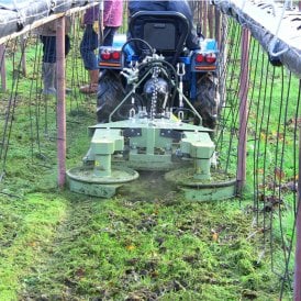 Inter-row Mower