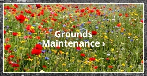 Ground Maintenance